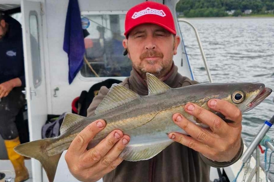 Andy Jamieson with a healthy pollack in the Loch Fyne Sea Angling competition. Photograph: Nikki Thompson