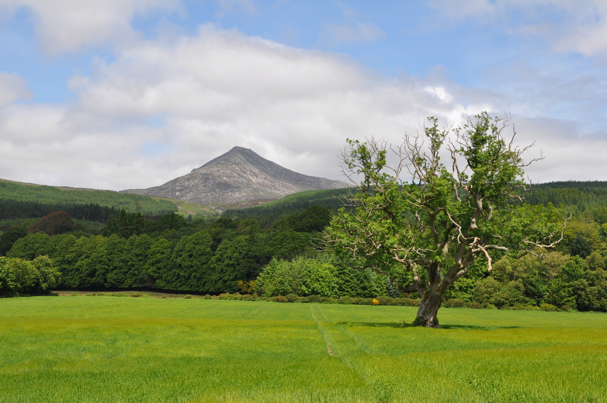 01_B31Leader01_24_view_Goatfell.JPG