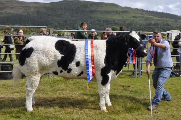 It was all go at the Lorn Show