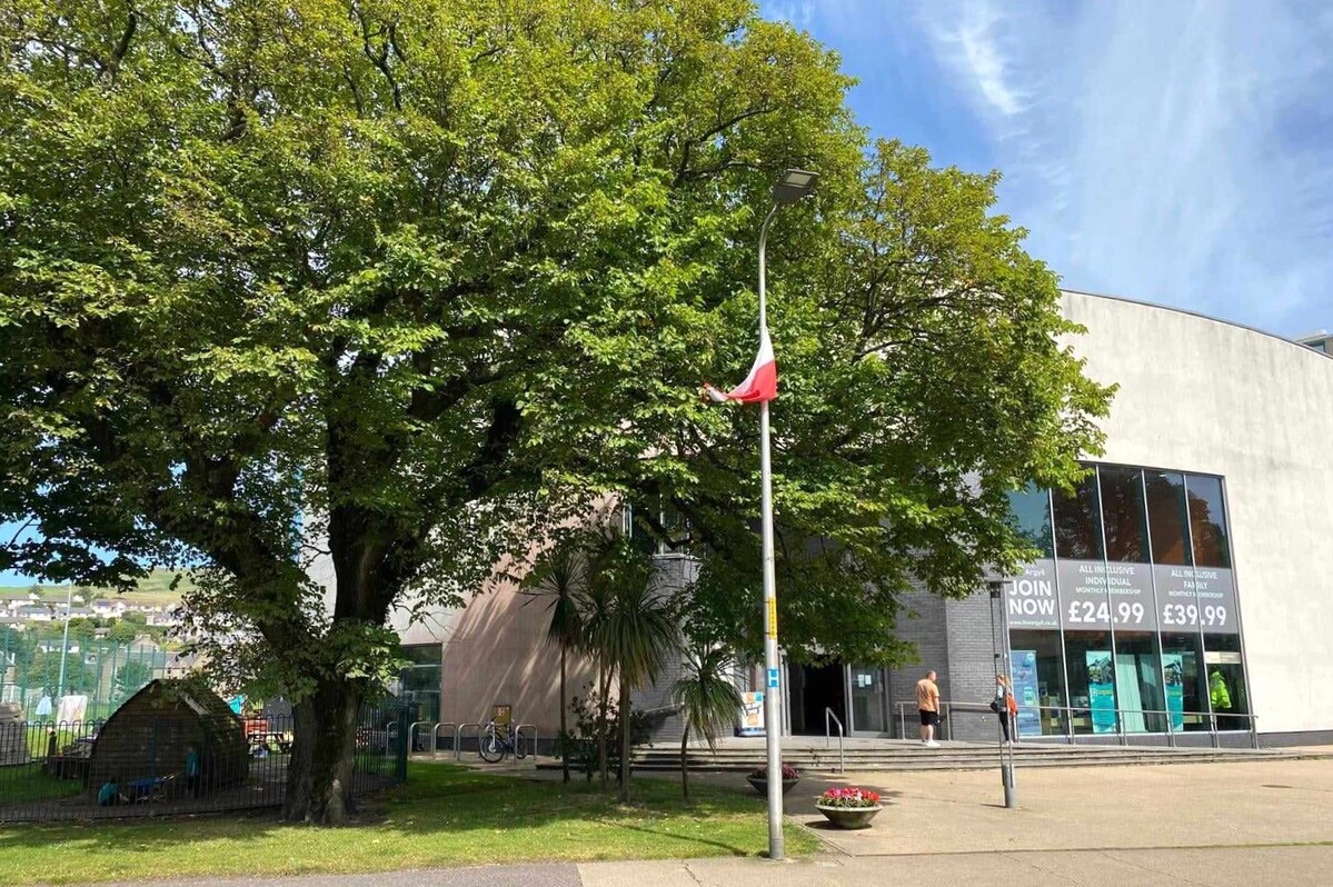 Keep an eye out for Campbeltown’s rare wych elm trees