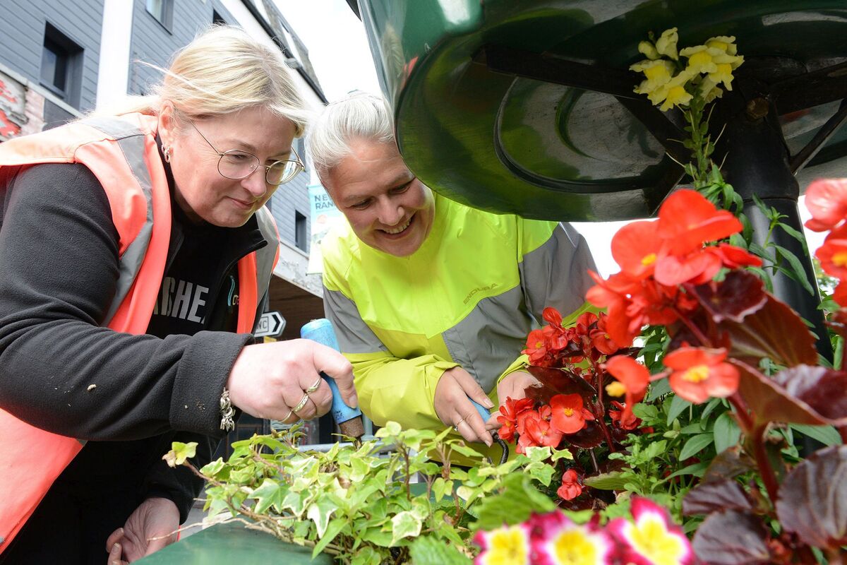 Mindless vandals destroy publically-funded floral display