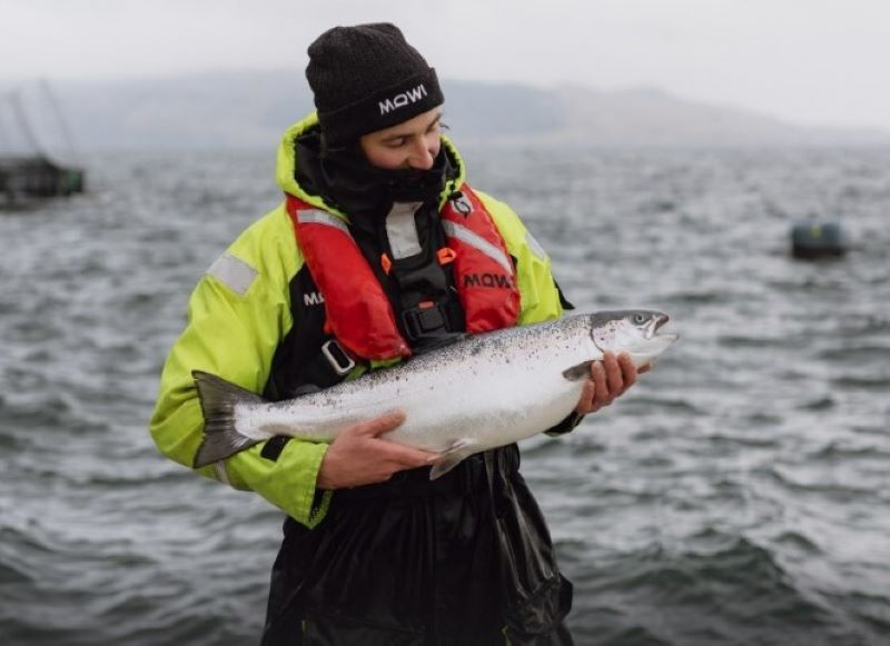 MOWI : Scottish salmon - A win-win for your plate and the planet