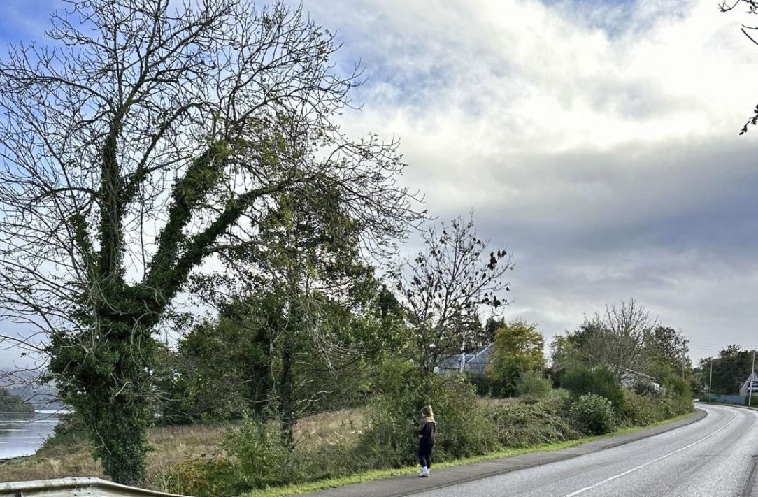 The area where the café was planned. Photograph: Shaun Sinclair