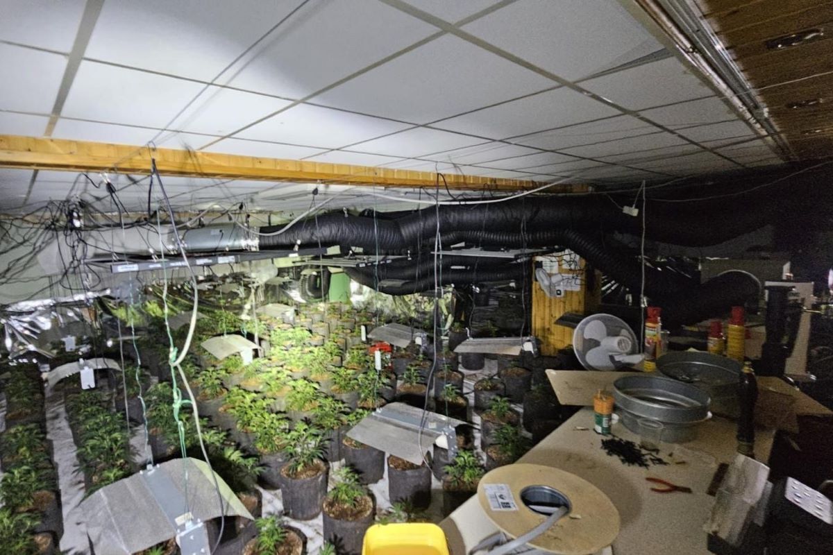 Police discovered a thriving cannabis farm at the former Spean Bridge Hotel.