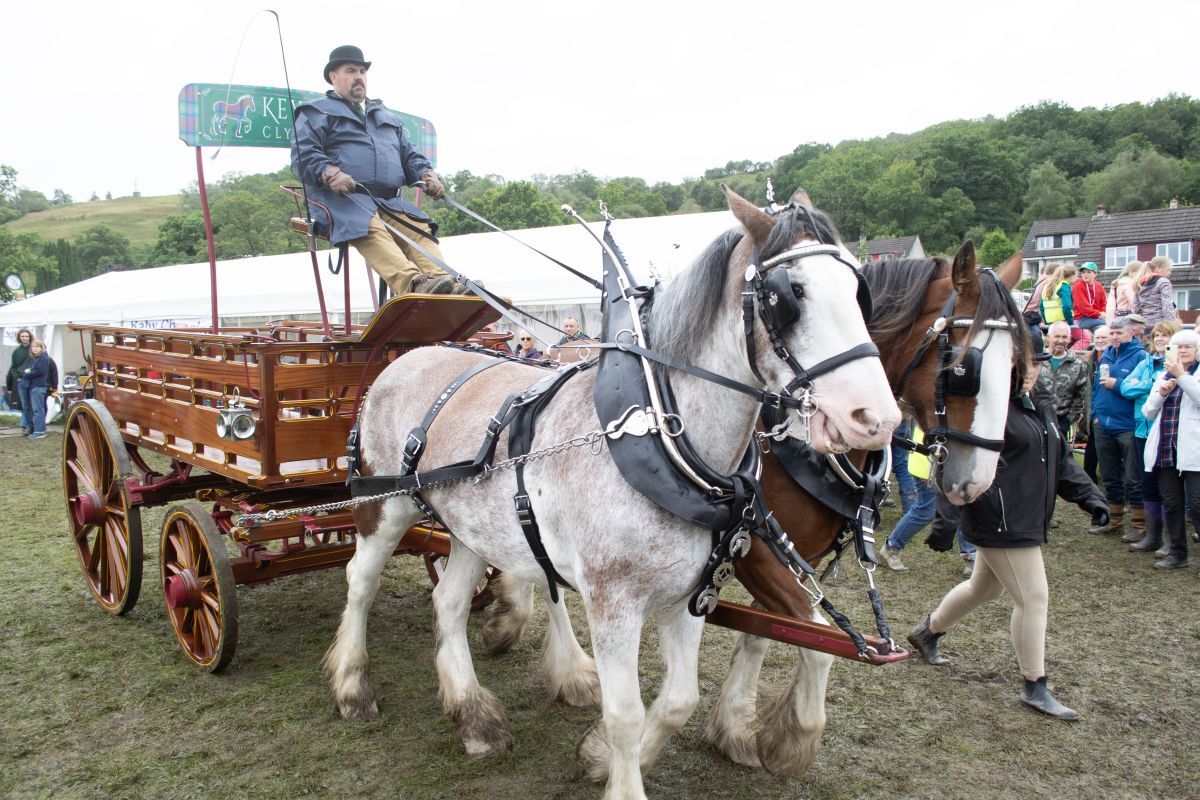 Keystone Clydesdales from Kinross entertained the crowd with their horse and carriage displays. Photograph: Euan Paterson