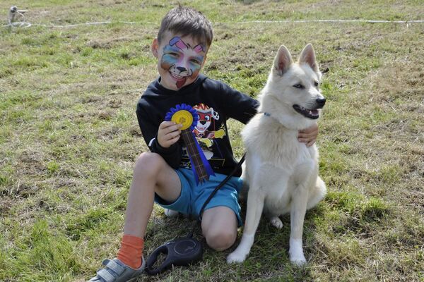 'Yappy days' as island comes together for charity dog show