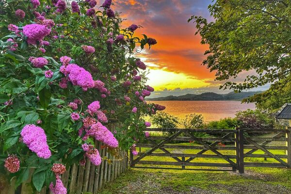 Amazing Argyll - July 2024