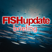 Fish Update Briefing, Friday, January 11