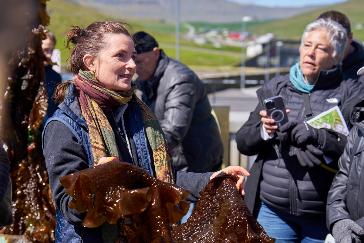 Faroes hosts leading seaweed sector event