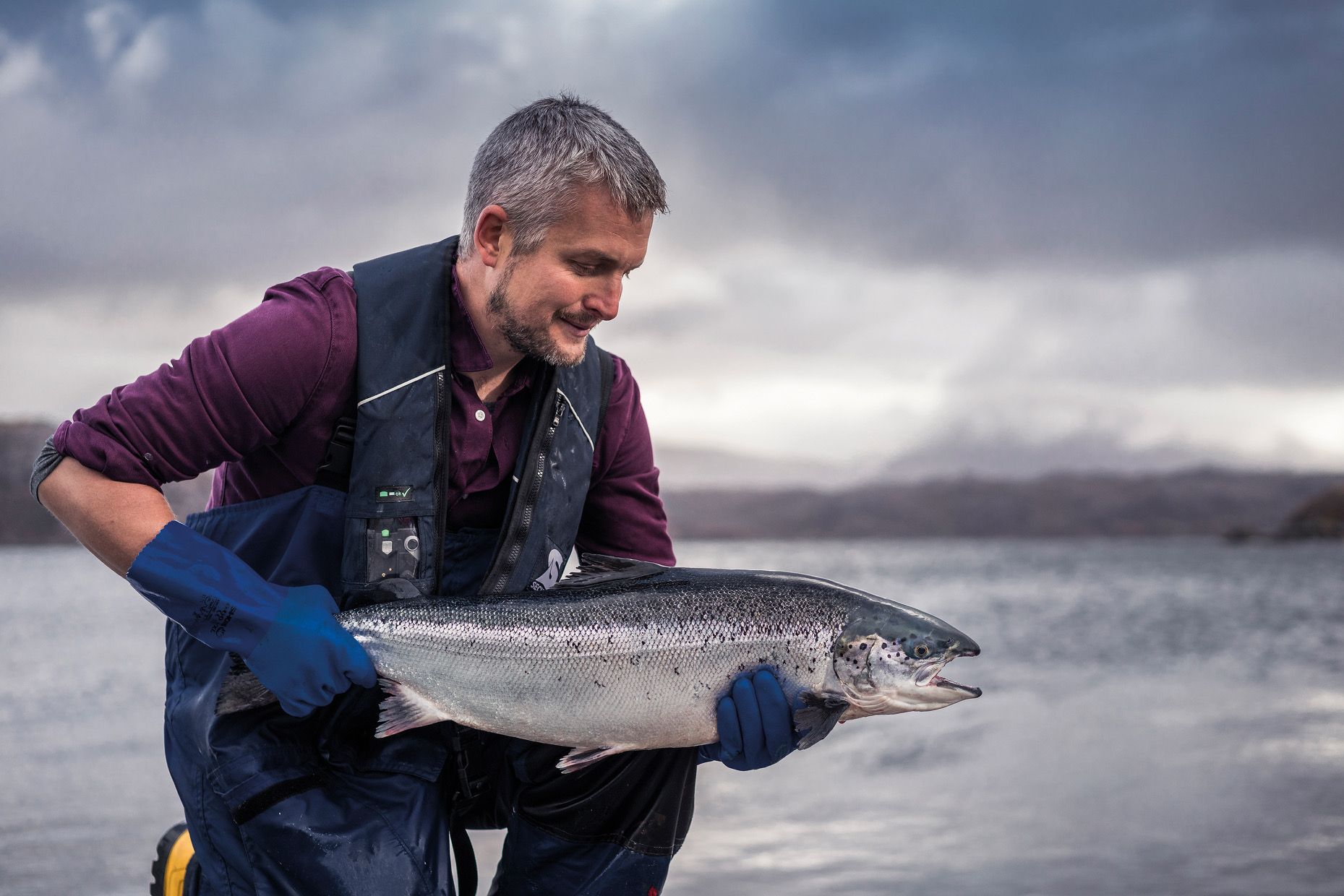 Salmon farmers keep fresh food on the table