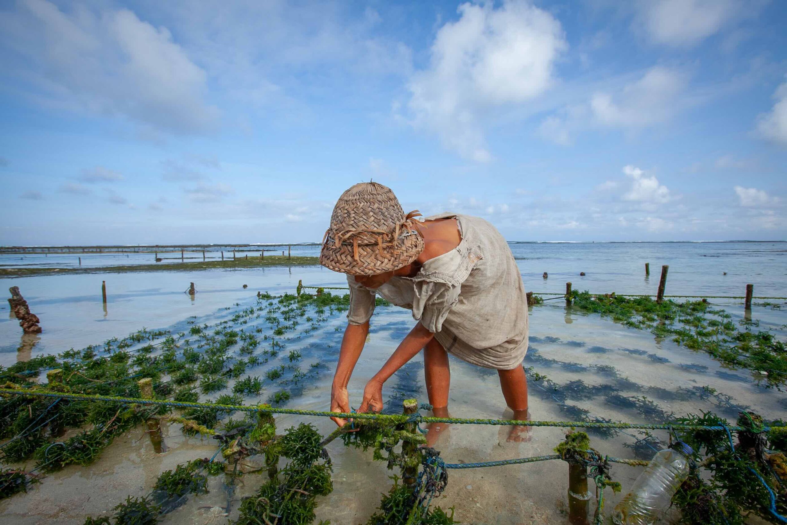 First in-person Seagriculture Asia-Pacific conference set for next year