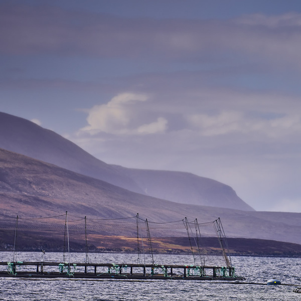 Orkney Marine Plan set to drive "progress and innovation"