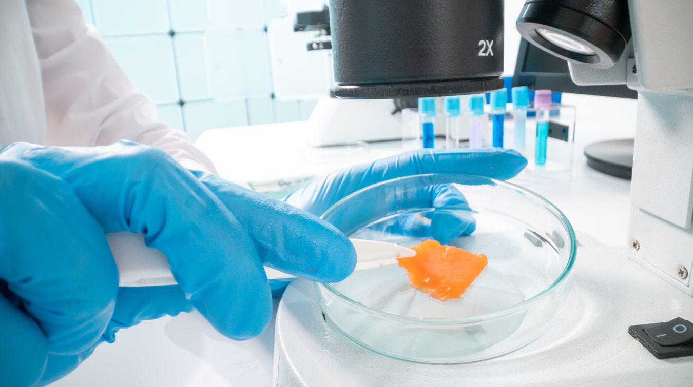 Fish Farmer - Features - Safe to eat