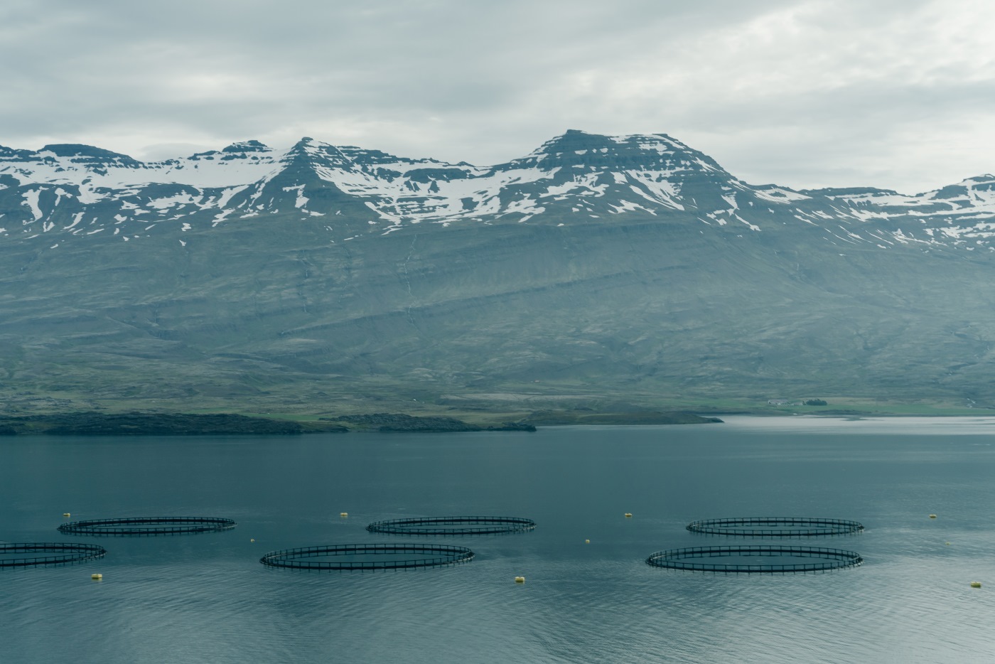 Battle over the fjords