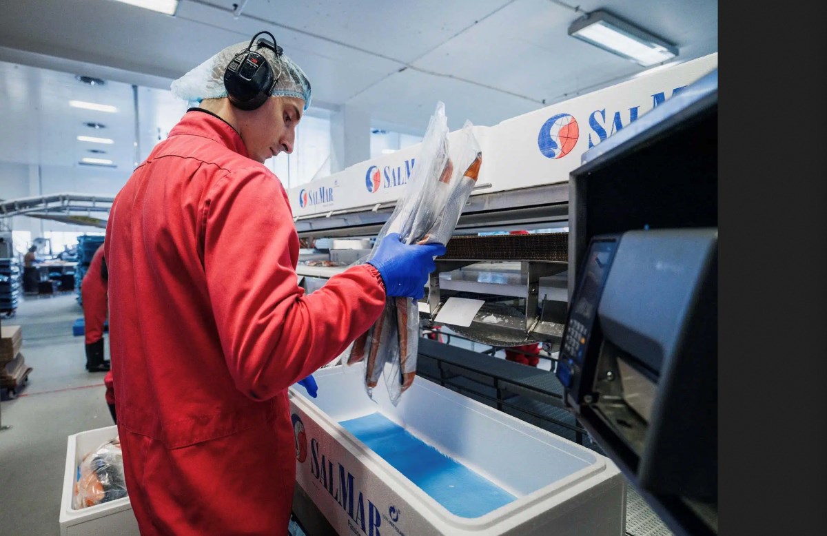 SalMarprocessing2jpg