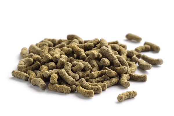 Fishmeal production up 23% year-on-year