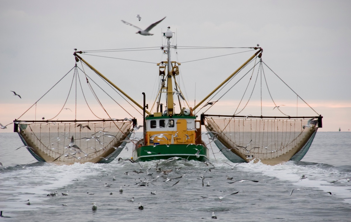 trawlerAdobeStock3298488jpg