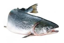 99% of Norwegian salmon produced without antibiotics, report finds