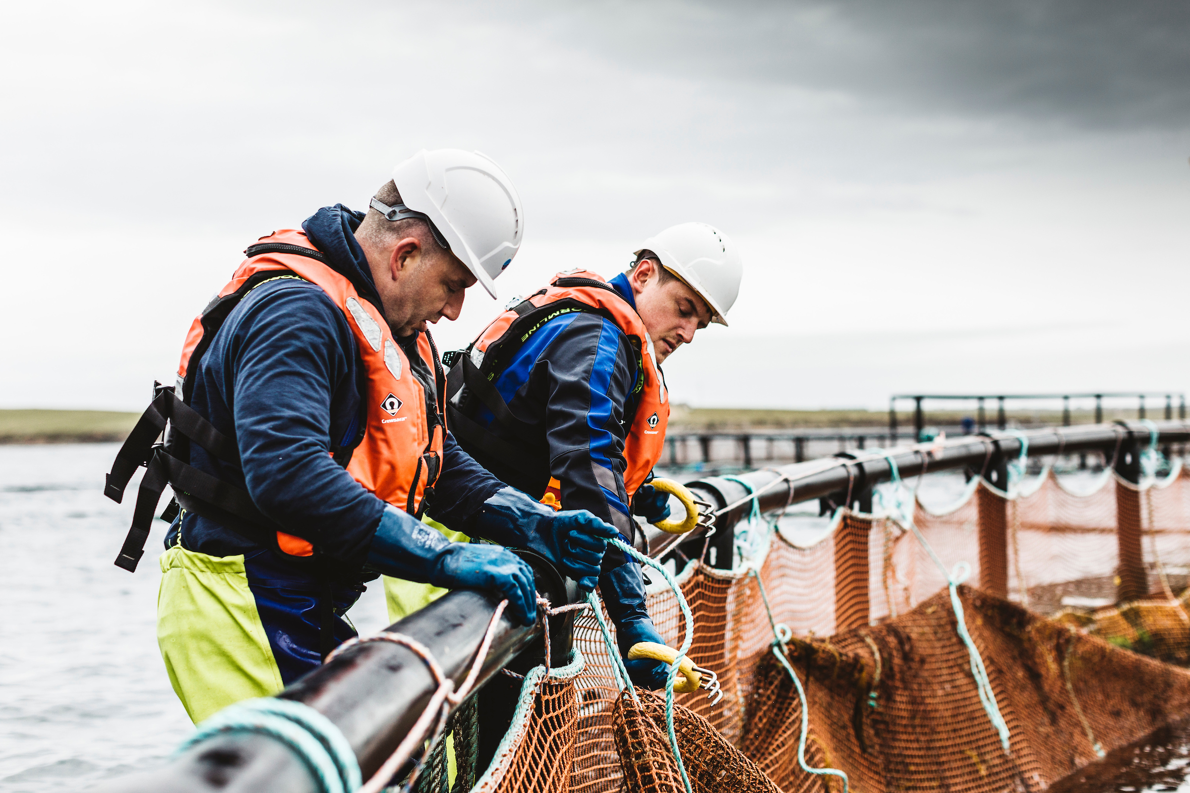 New farm brings £3m to Scots firms