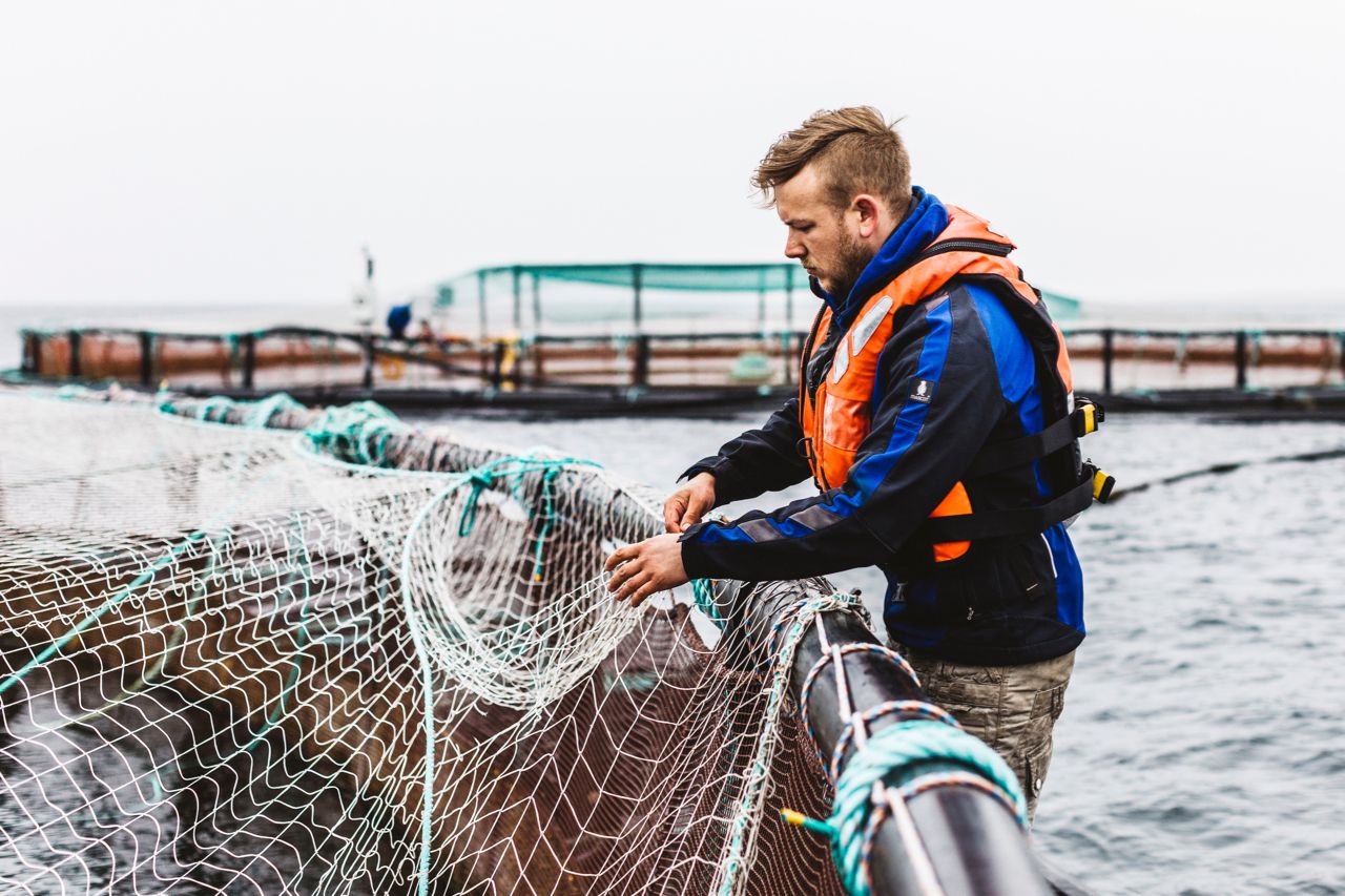 Salmon farmers soar in top firms list