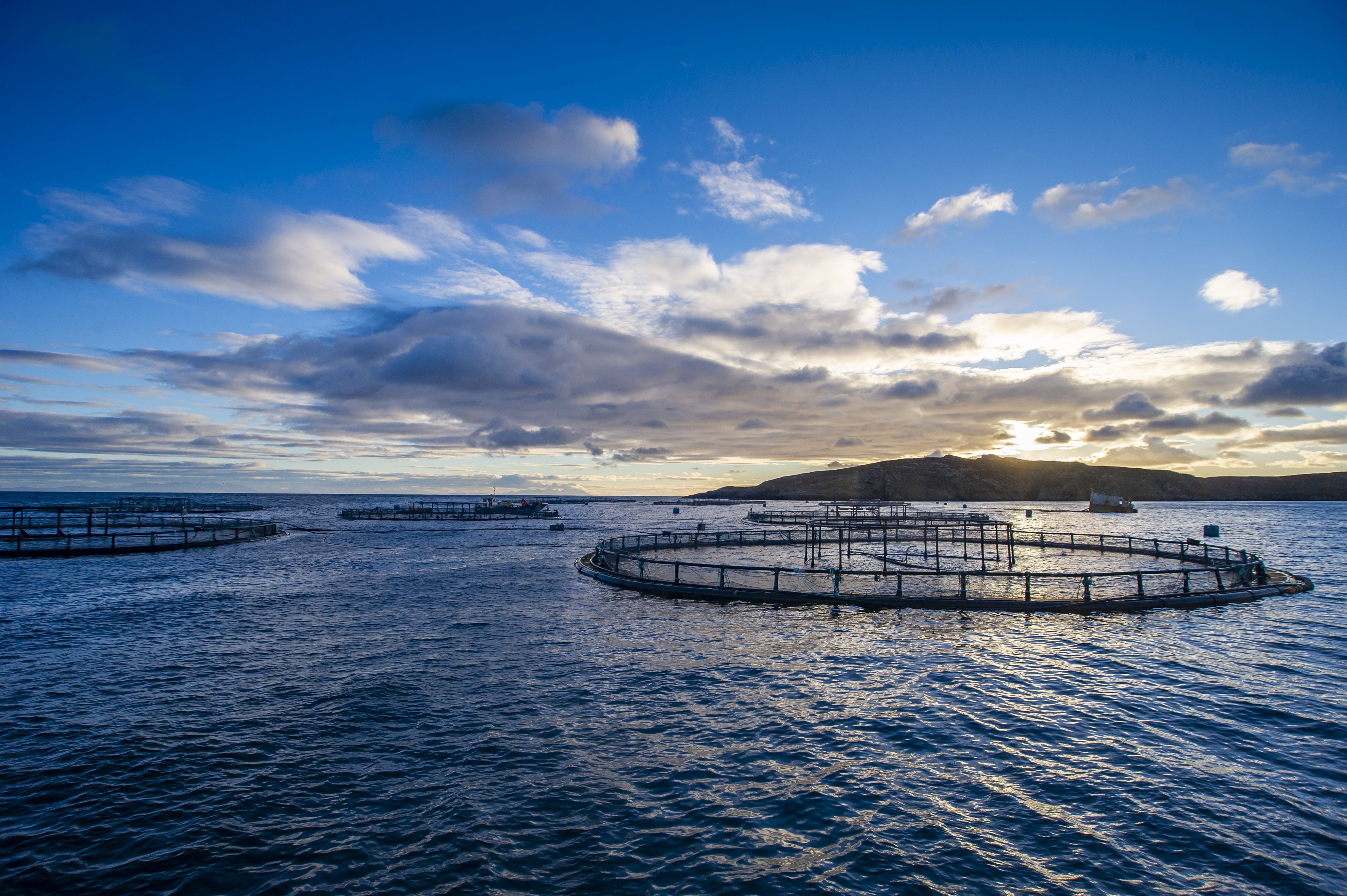 £5bn scope in Scotland’s marine economy