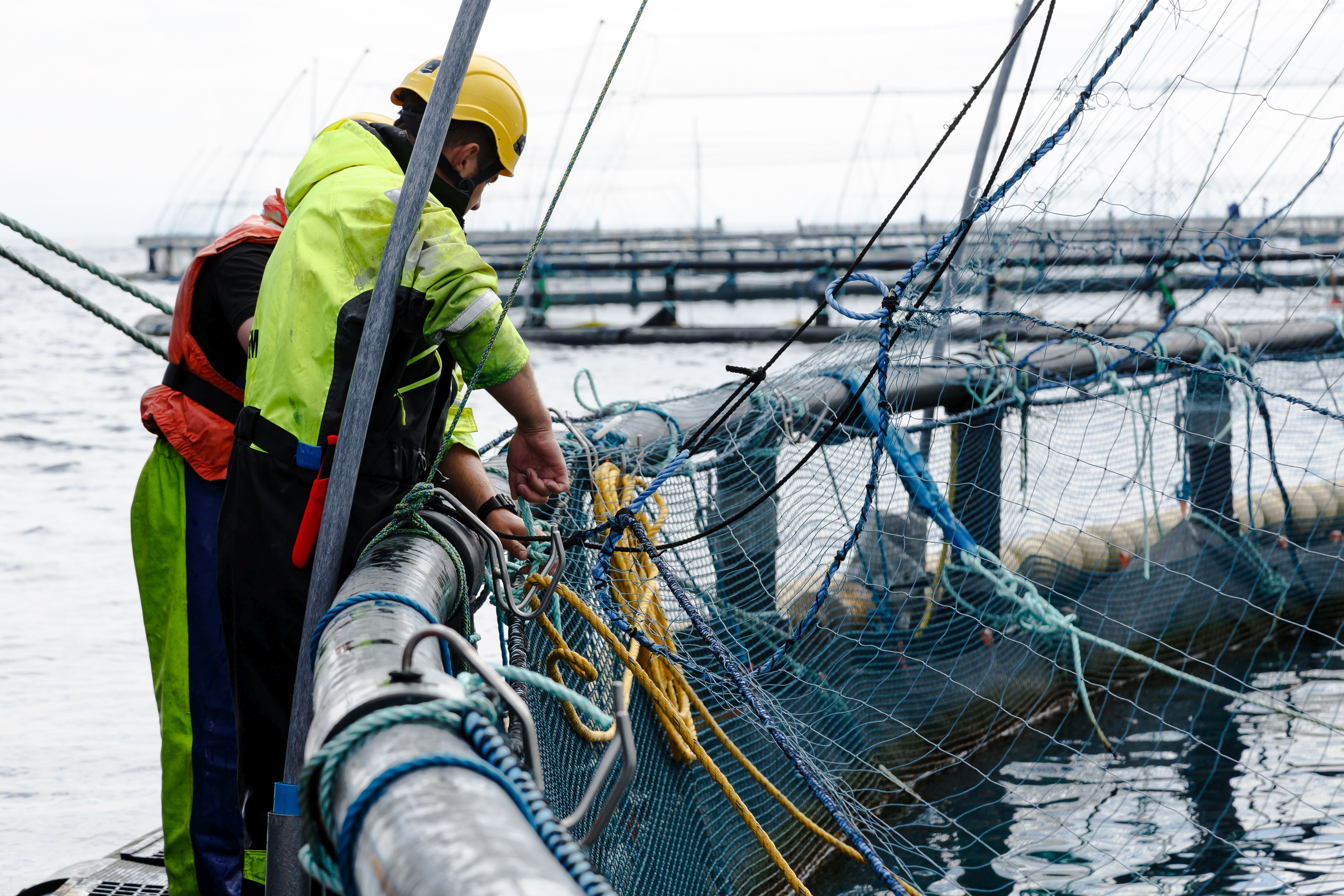 Shetland lists fish farmers as key workers