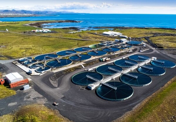 Icelandic seafood leader reports solid 2024 results
