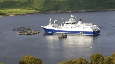Fish feed company loses appeal over salmon escapes