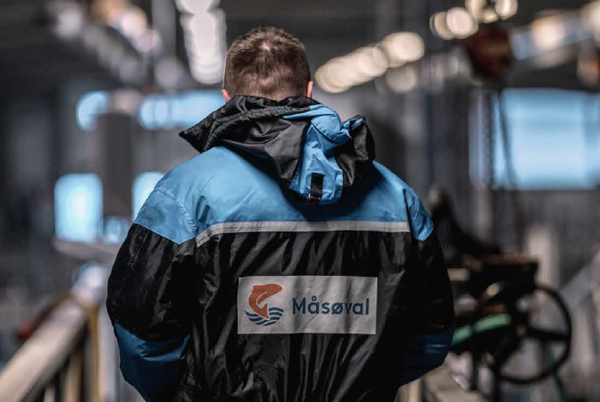 Måsøval reports £4m Q3 loss