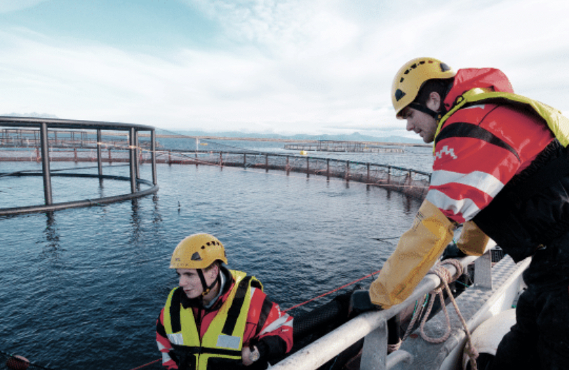 PD spreading in northern Norway, tests show