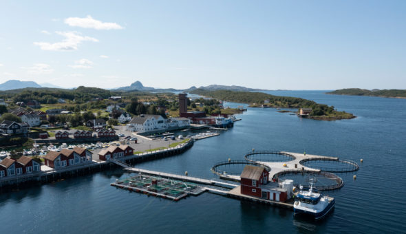 Nova Sea buys into Torghatten Aqua