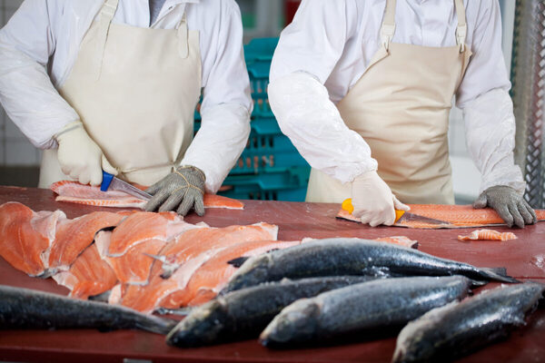 Aquaculture included in Seafish &pound;1.4 million training fund
