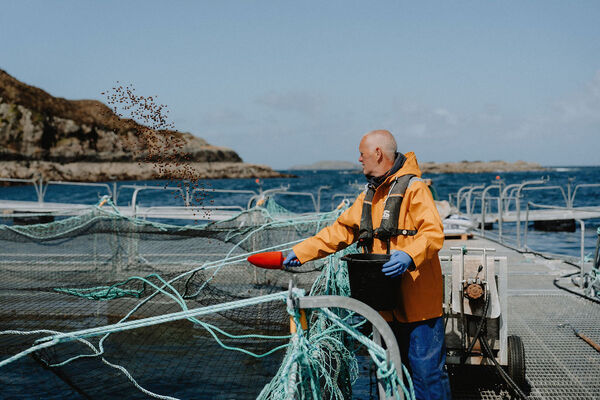 Loch Duart posts heavy loss in drive for growth