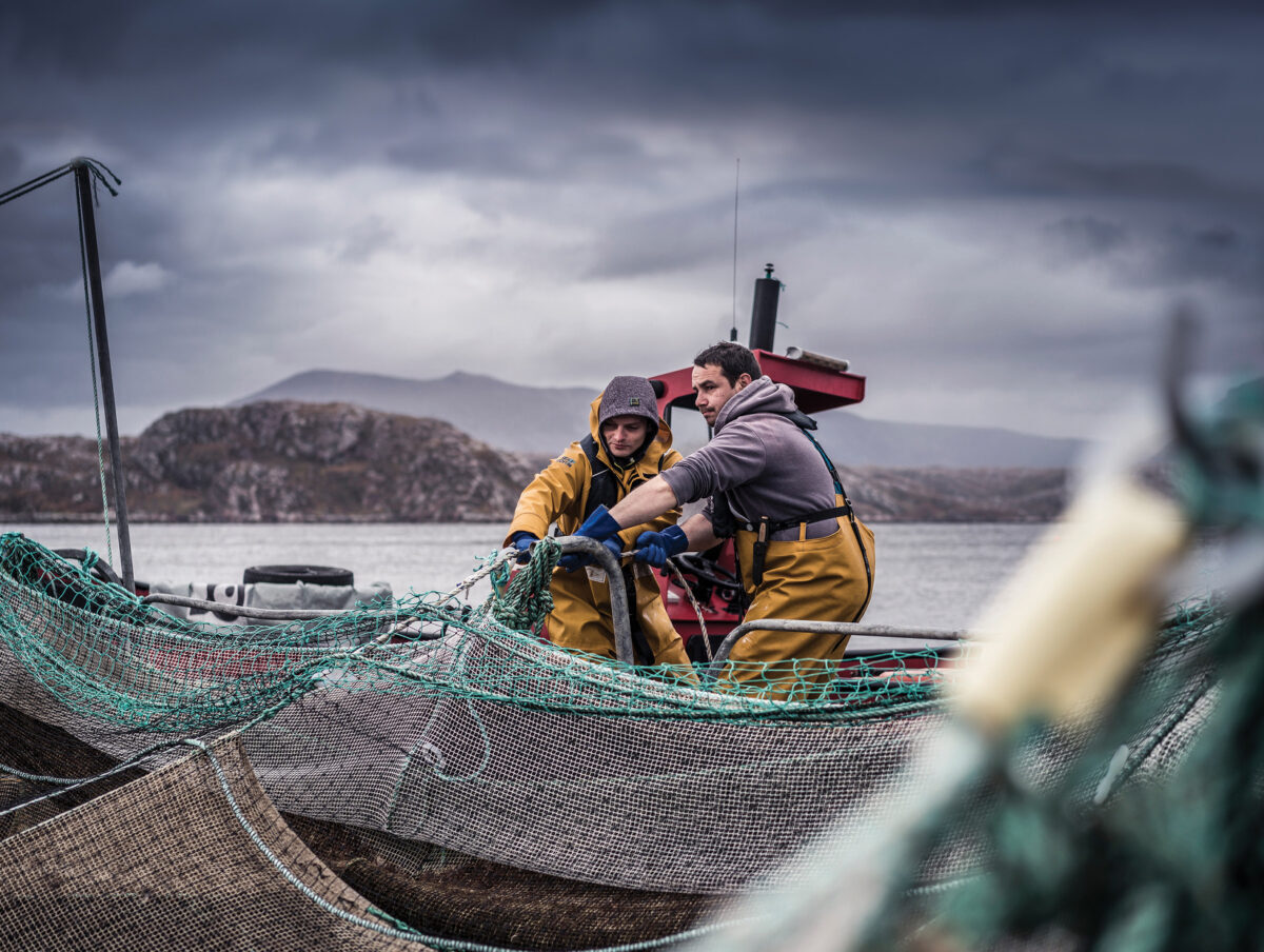 Loch Duart Salmon nets new customers in tough quarter