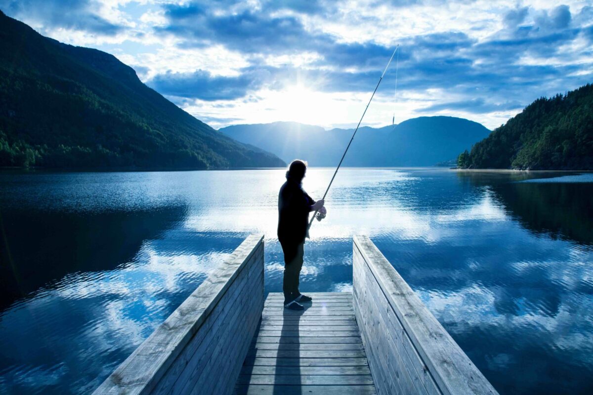 Anglers offered £52 a head for escaped salmon