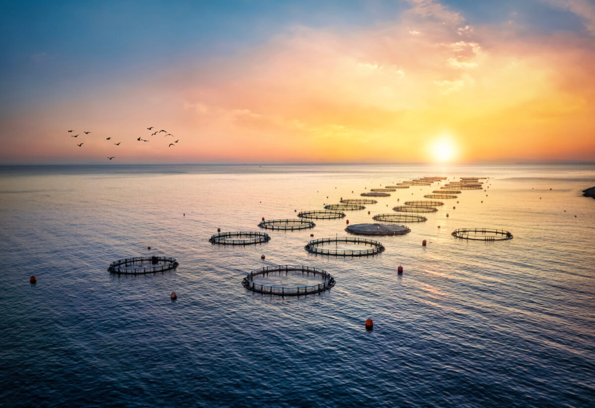 Fish Farmer - Fish Farmer - All Content - EU sets out ‘vision’ for ...