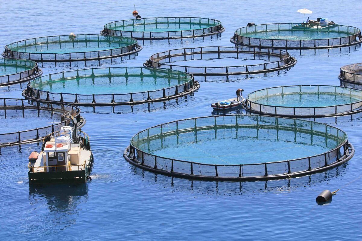 European Commission in call to cut admin burden on aquaculture