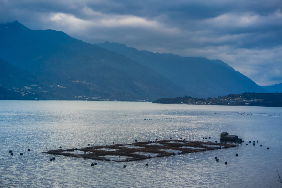 Chile's salmon farmers win in Los Lagos dispute