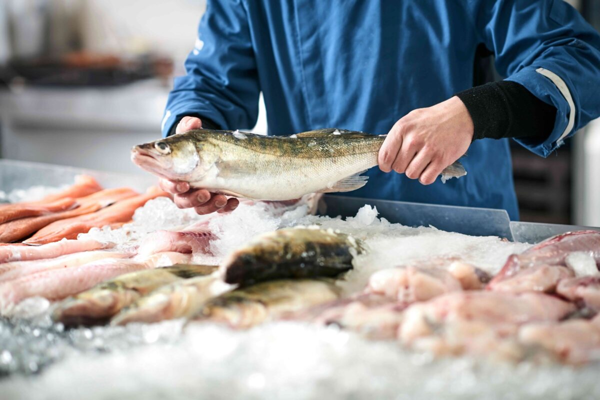 Salmon prices down again, but exports at record levels