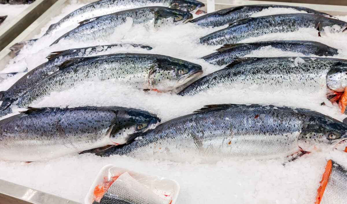 UK class action seeking £382m from leading salmon farmers