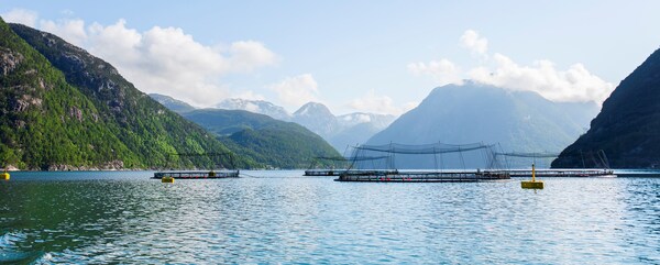 Ler&oslash;y&rsquo;s NOK 500 million green bond loan approved