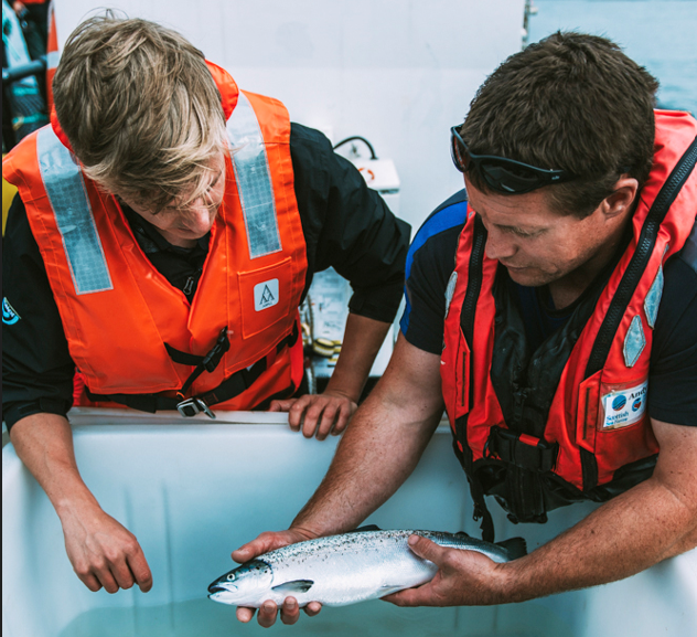 Solving salmon skin problems