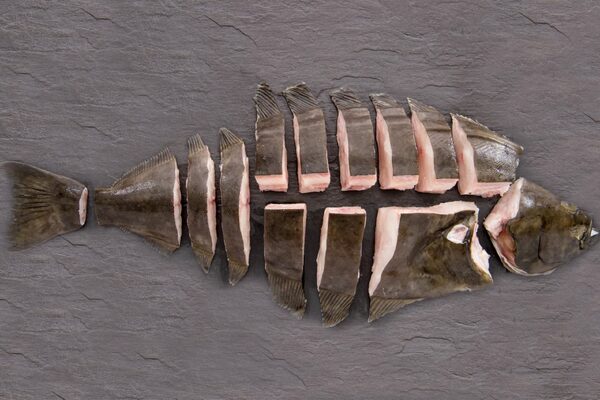 No let-up in demand for farmed halibut
