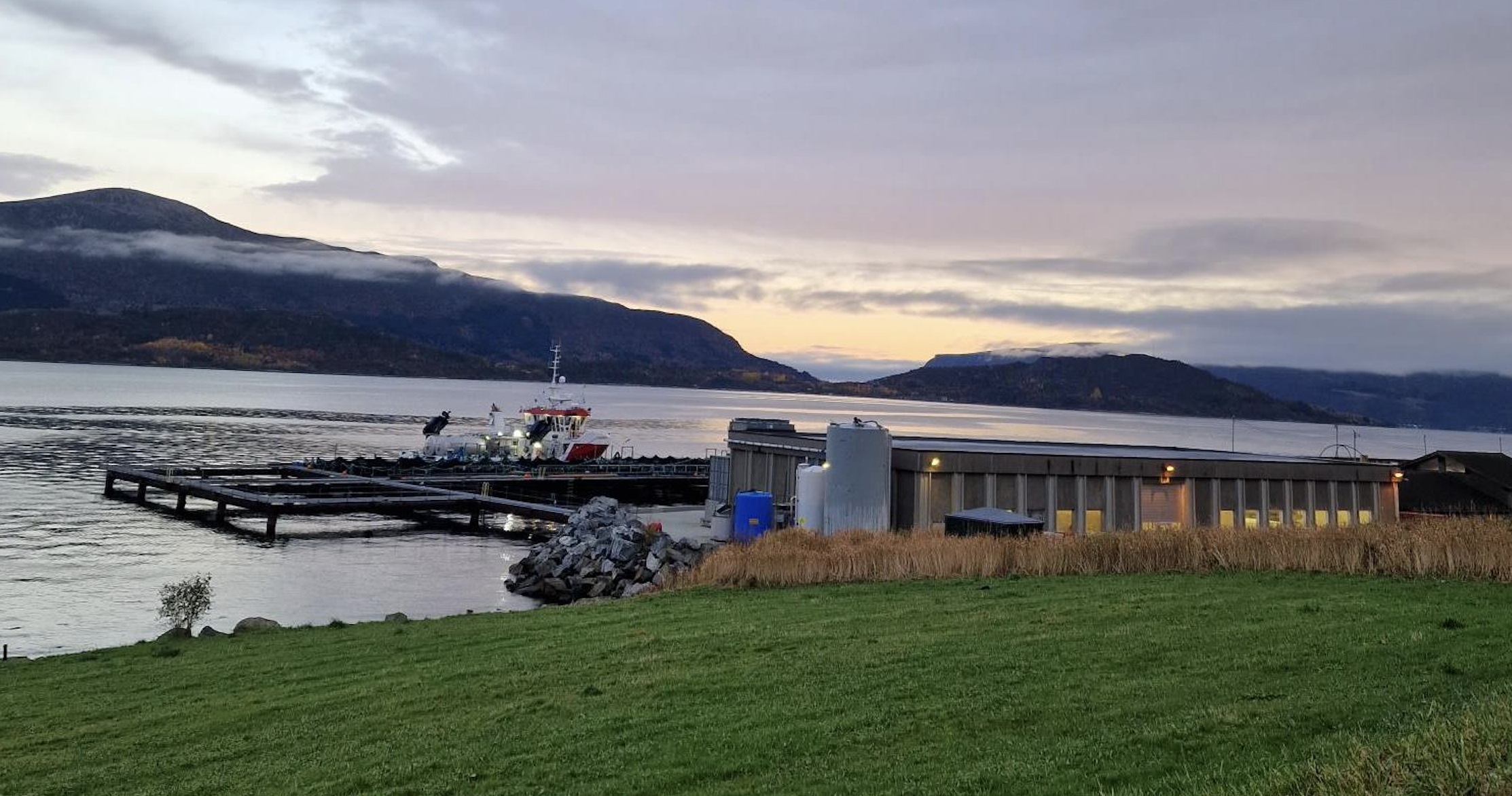 Cod farmer acquires salmon harvesting site