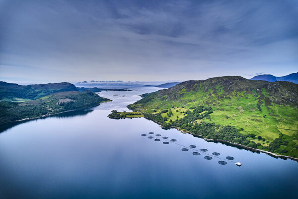 September was crunch month for Bakkafrost Scotland, says report