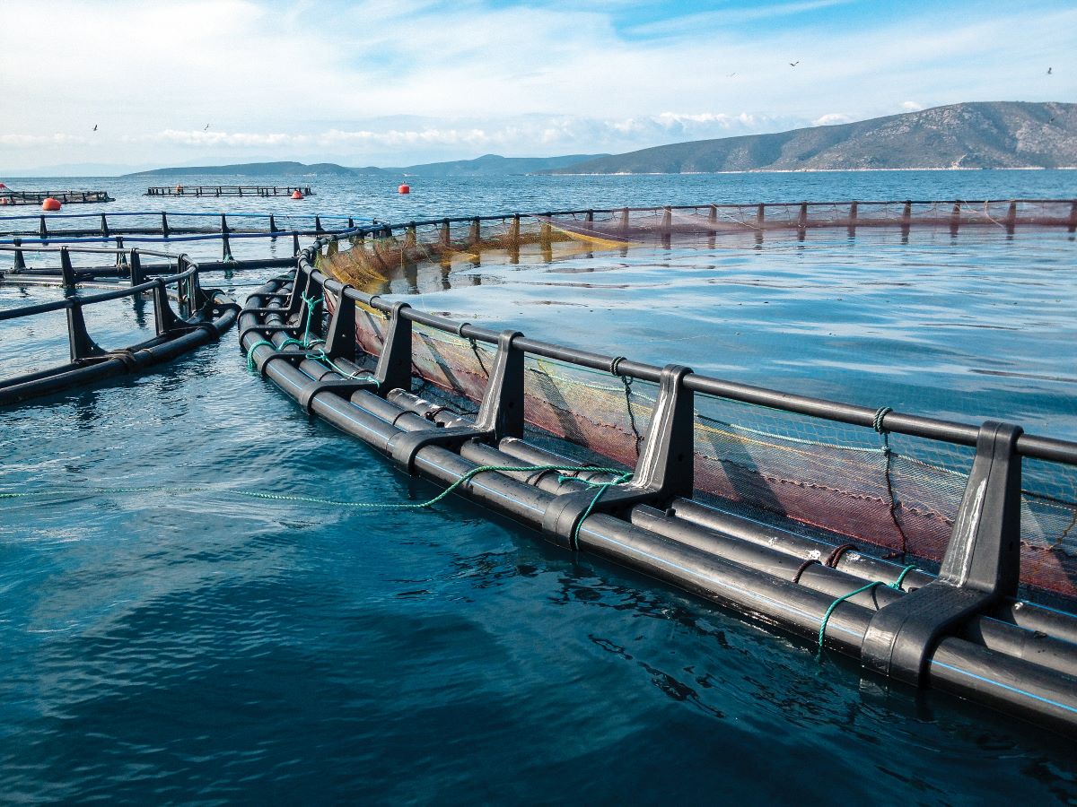 Aquaculture technology and biosecurity