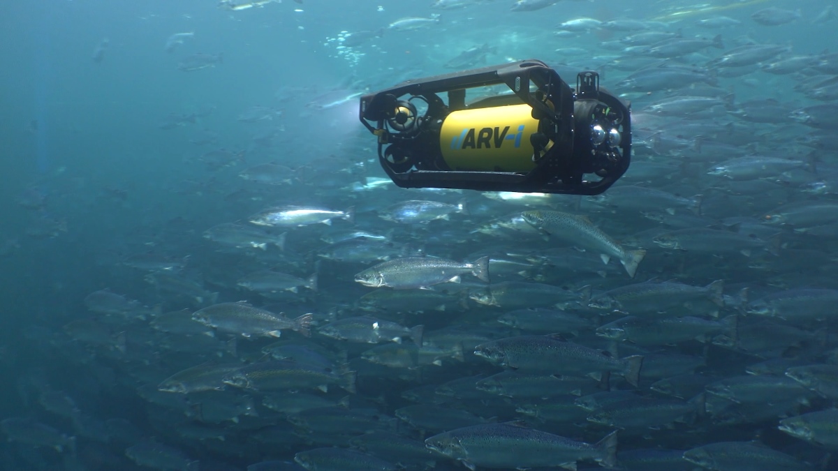 Elevate your fish farming with robotics solutions