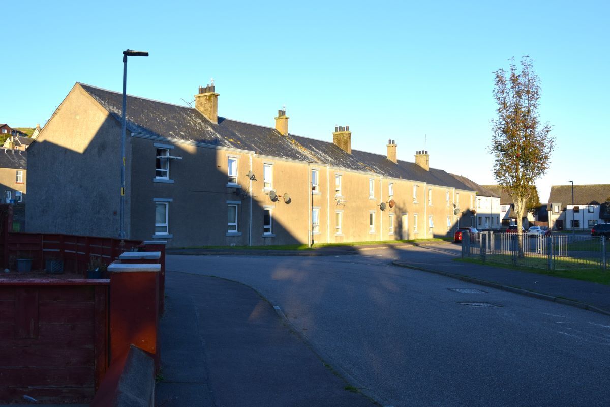 Housing association denies “bullying, intimidation and discrimination” over tenant feeding birds