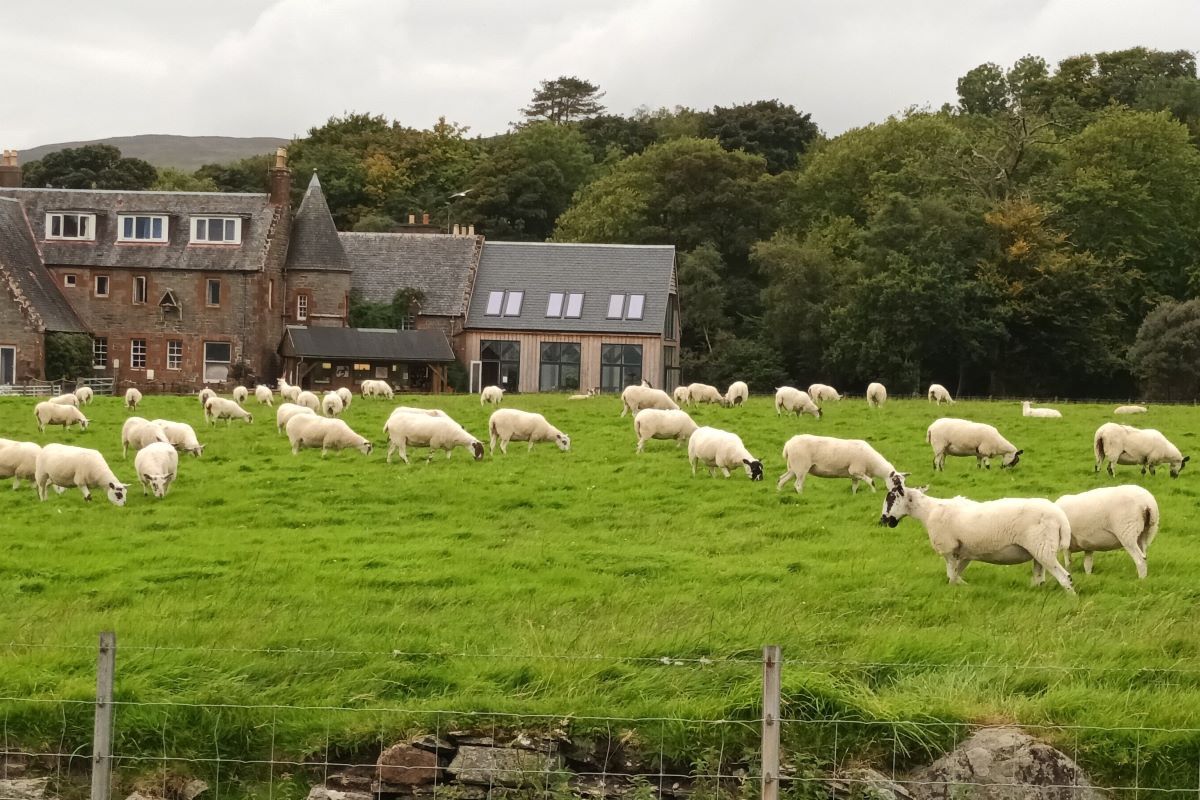 Top handlers round up prizes at Skipness sheepdog trial