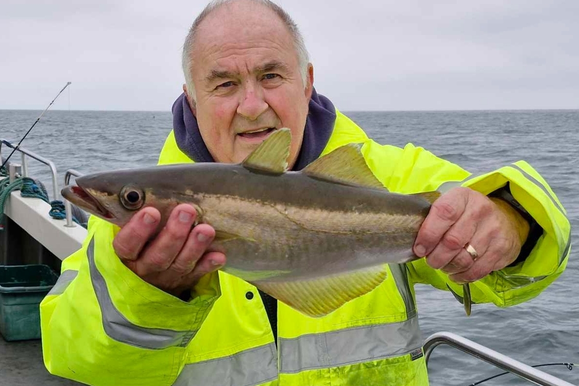 Robert MacBrayne with a 2lb 8oz pollack. Photograph: Loch Fyne Sea Angling Club Robert MacBrayne with a 2lb 8oz pollack. Photograph: Loch Fyne Sea Angling Club
